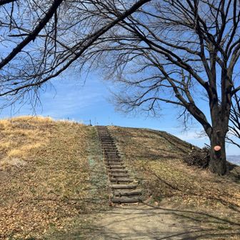 あそこが山頂かな？