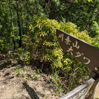 大ダワ、なんかわらんけどヤバそうな名前。
まあいいか。