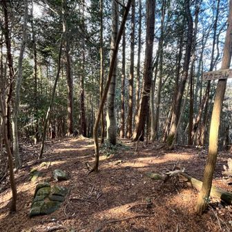 額井岳から移動して、2発目がサガヒラ山