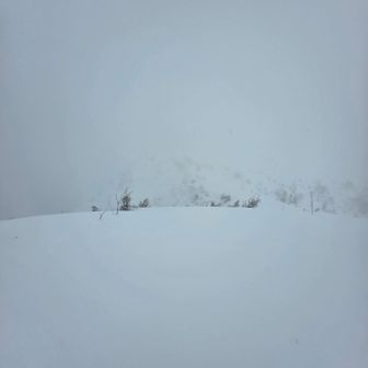 この辺りから目印のポールもない。