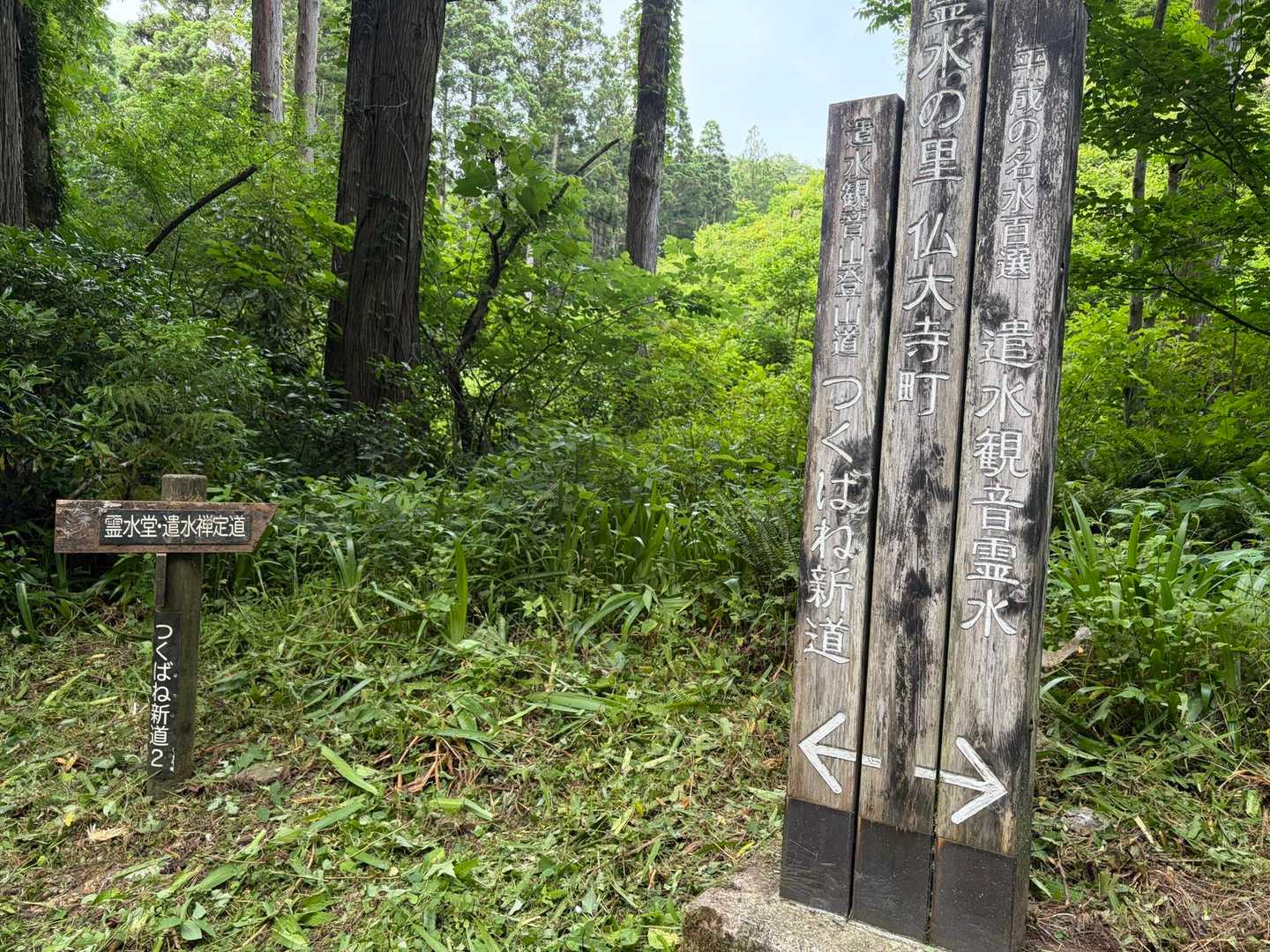 遣水観音山 周回コースの写真
