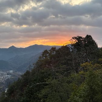 諦めきれず…
でも見れず🫣