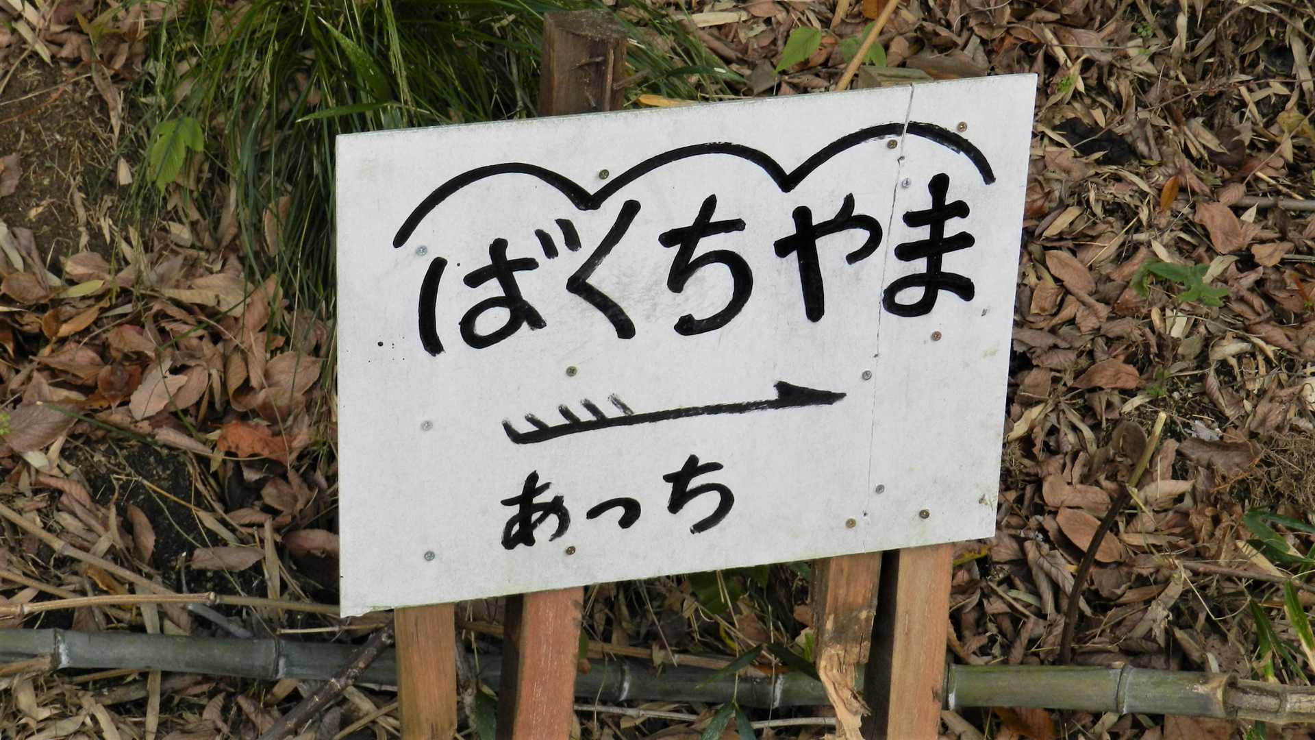 あっち→