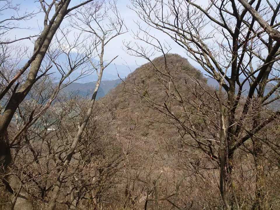 冠ヶ岳（神奈川県）の写真