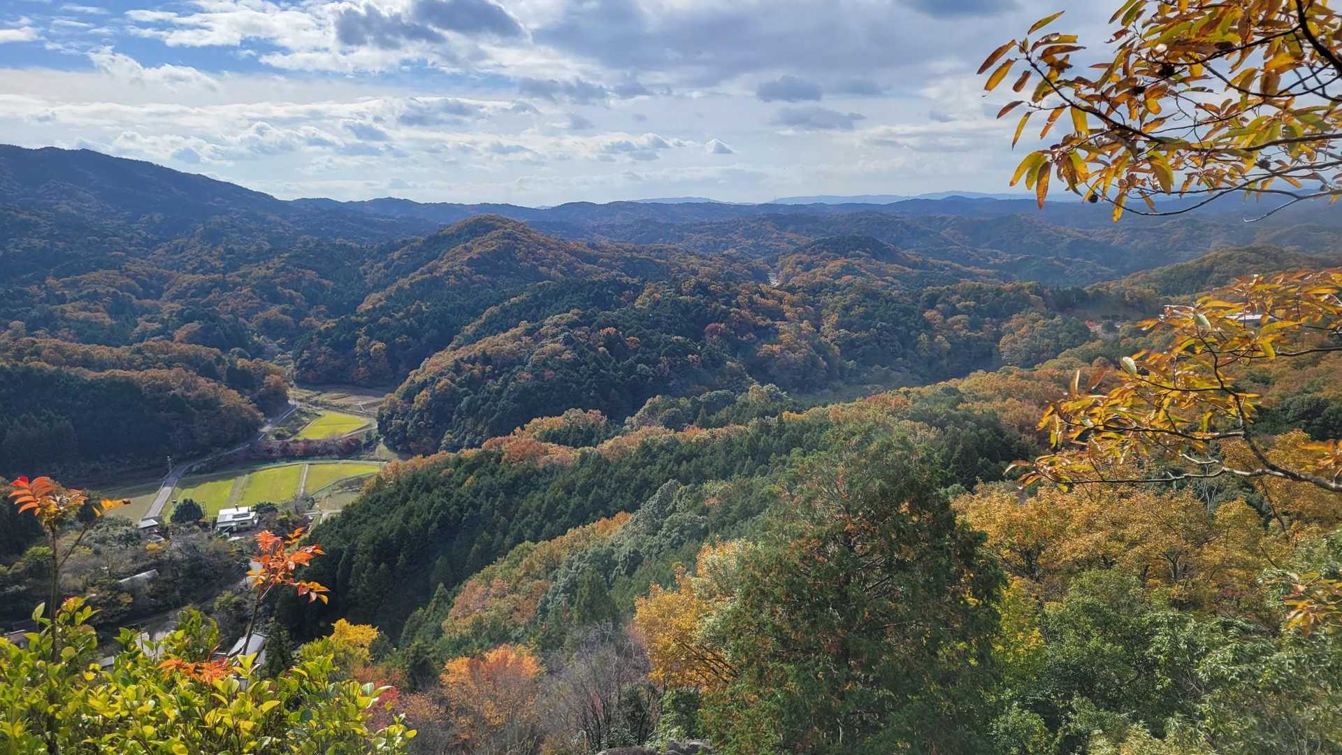 上まで上がるとひらけます⤴️
里山感がすごくいい✨