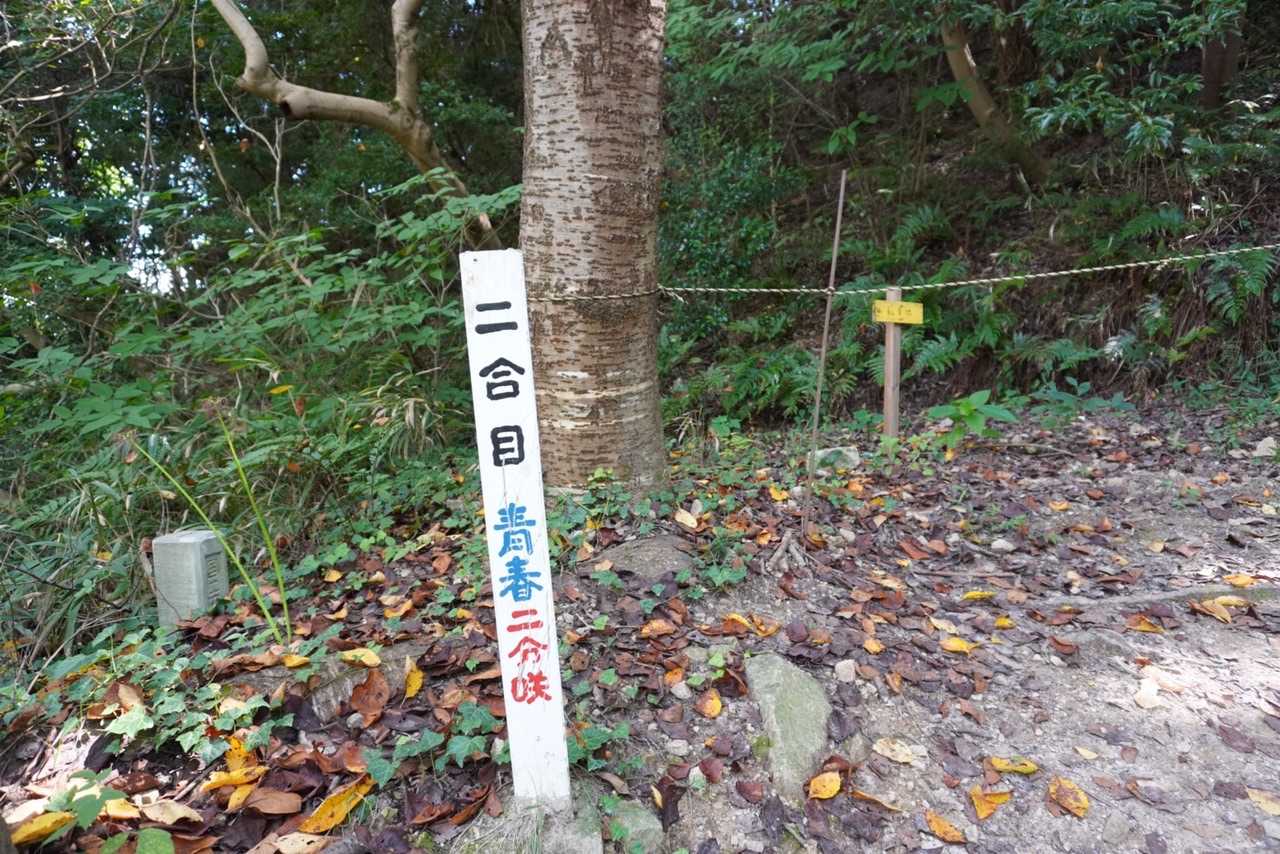 青春🍀　山頂はなんて書いてるのかな🎶
おもてたら、なんと！無いというオチ