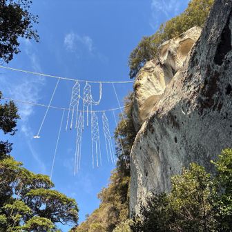 お綱掛け神事の大網👏👏👏