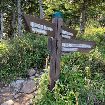 草すべりを登りきって