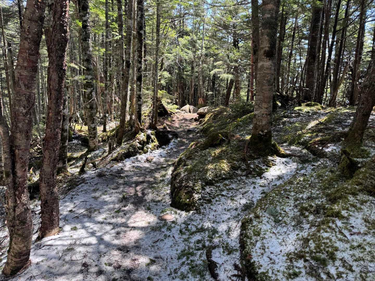 丸山-瑞牆山荘バス停 縦走コースの写真
