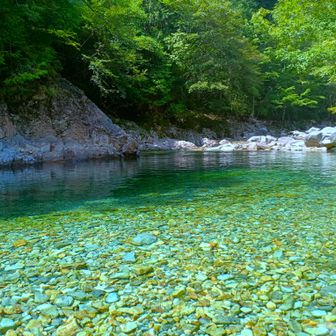 やっぱ水きれい
