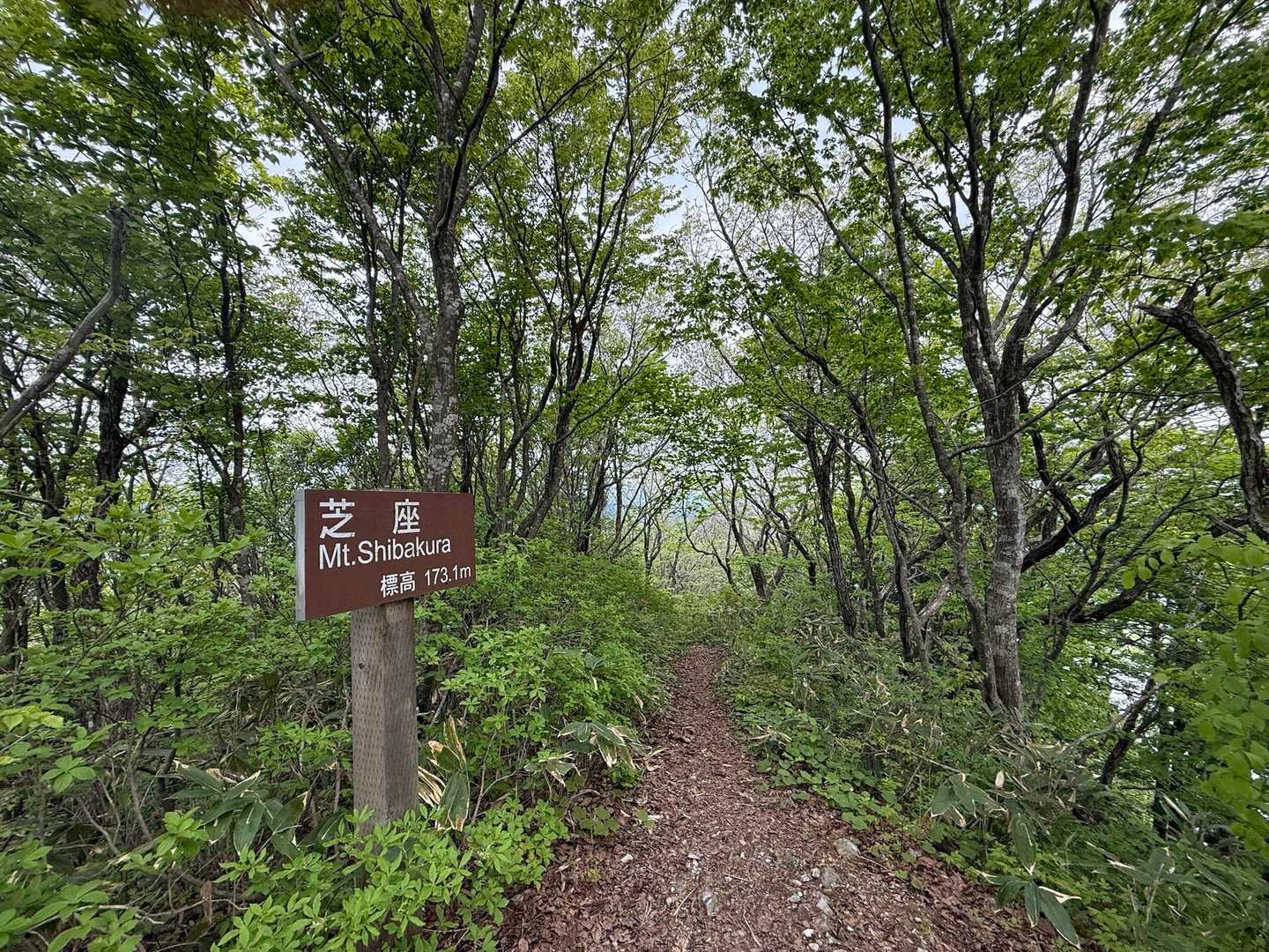 芝座✌️