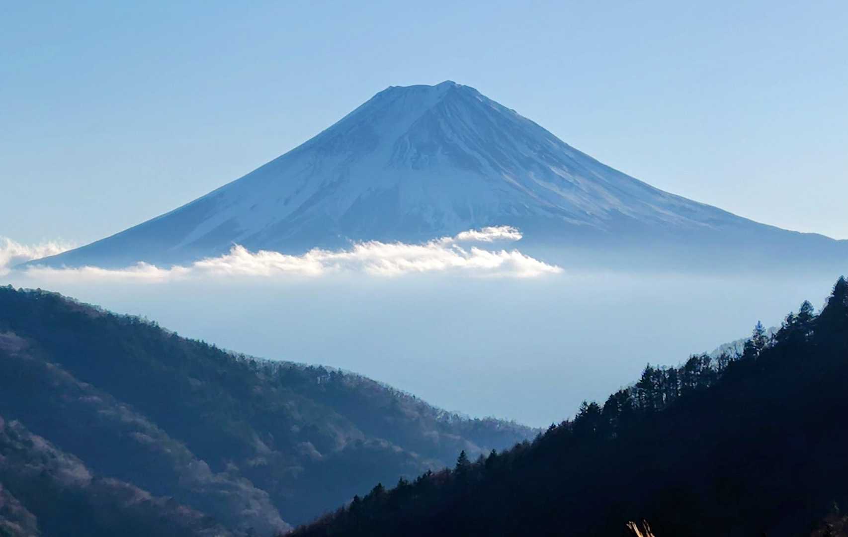 また来週あたりに会いましょう
帰りの林道より
