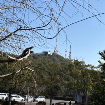 せめて稲佐山はここから歩いて登るべきだった