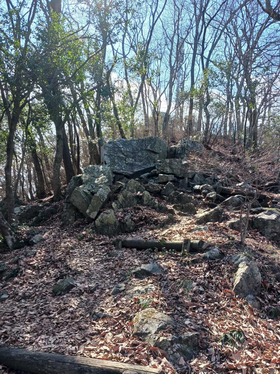 三毳山 周回コースの写真