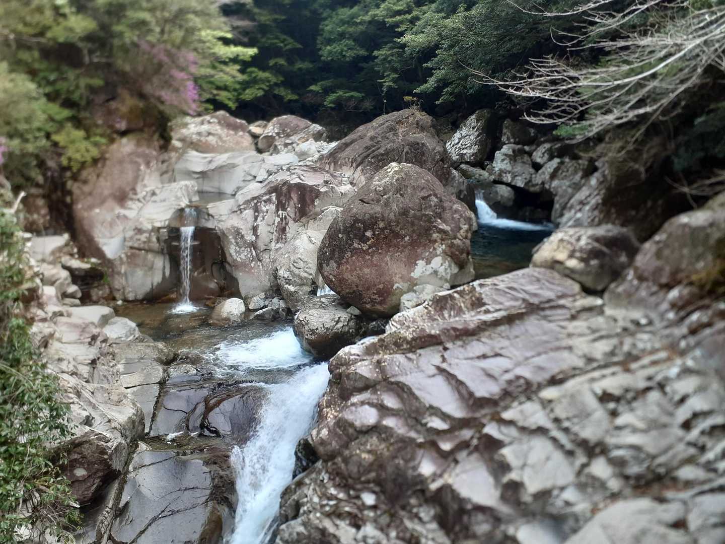 滝滝