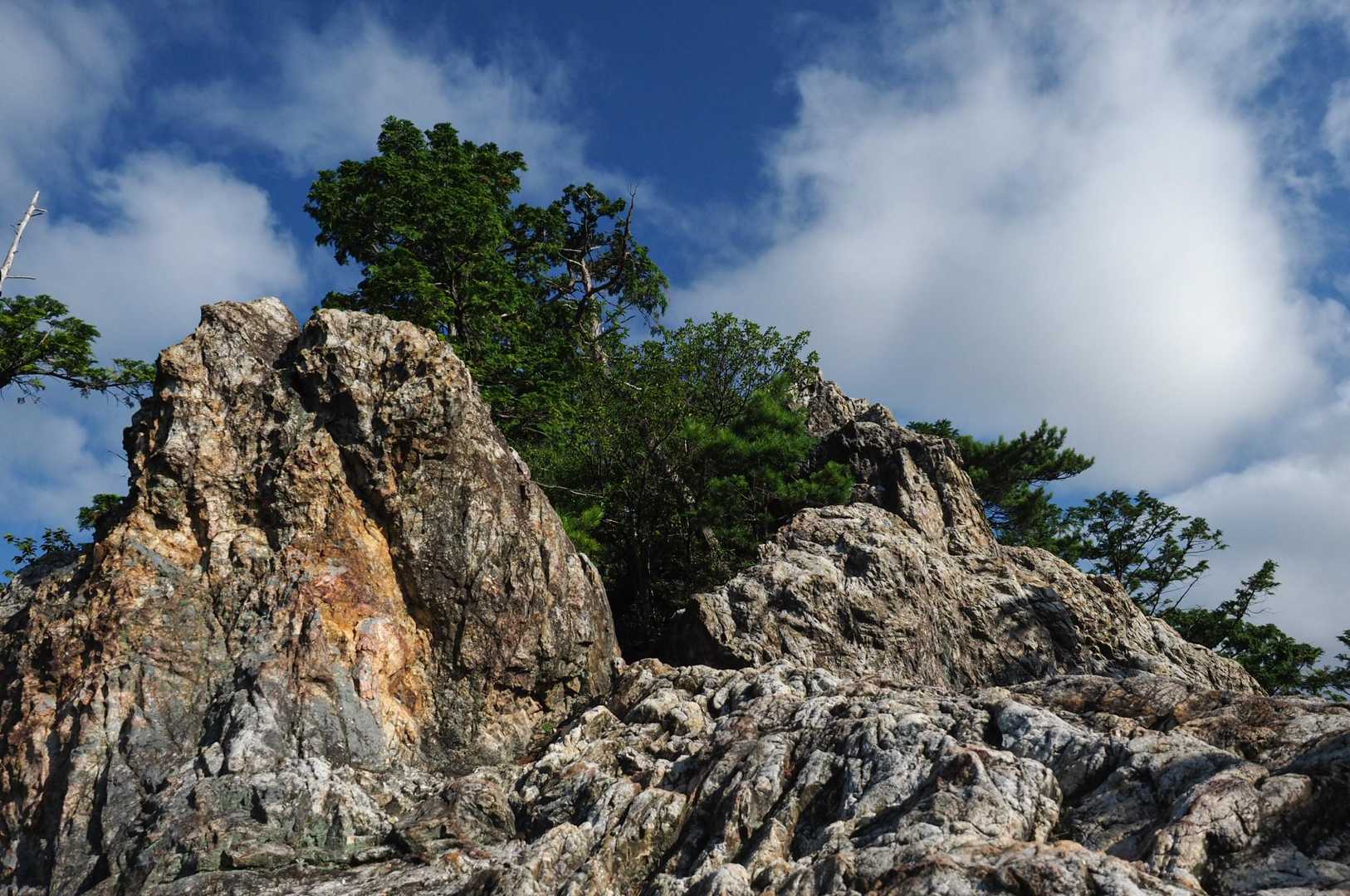 金毘羅山 往復コースの写真