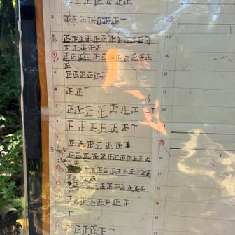 登山口に入山者をカウントする表がありました。今日は自分を入れて少なくても26名が入山しています。多い日は80人以上入山していて、びっくり😳