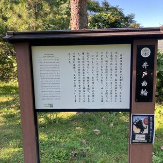 こんな山頂のすぐそばで、今でも水が出てるなんて不思議。😢飲んでみたい…