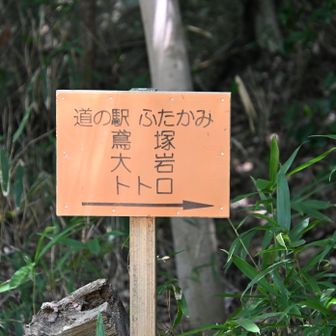 あったー今日も、
