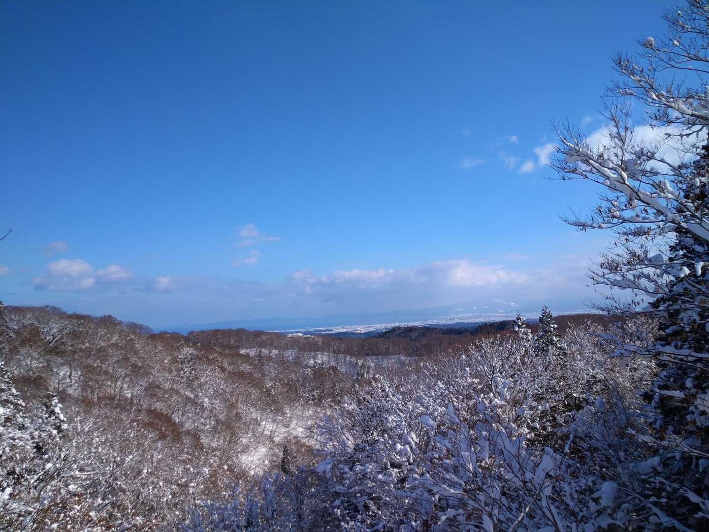 陸奥湾がキレイにみえます。