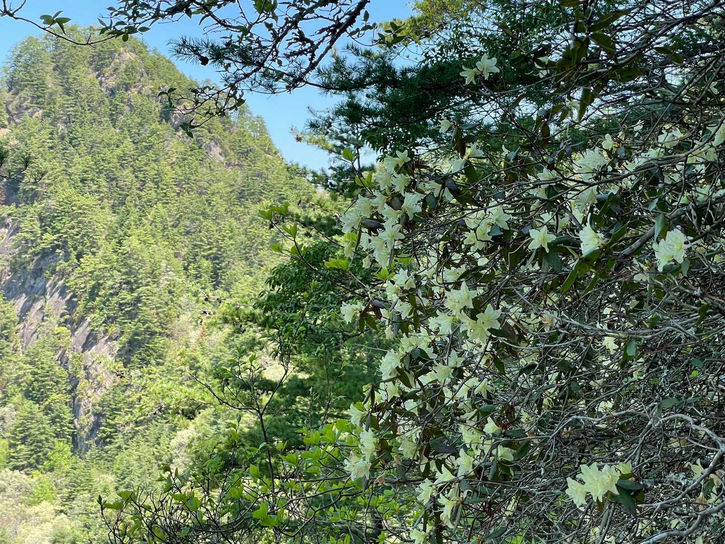 京ヶ倉 往復コースの写真