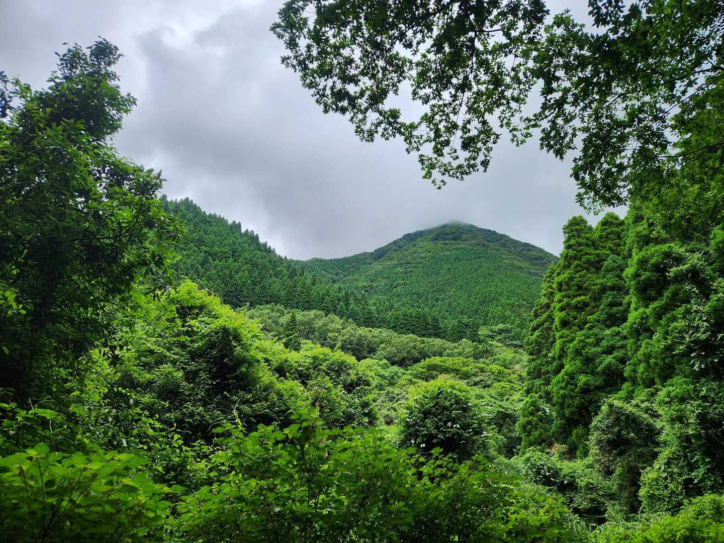 登った舞岳⛰️