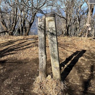大室山到着⛰️
驚くほど何もない