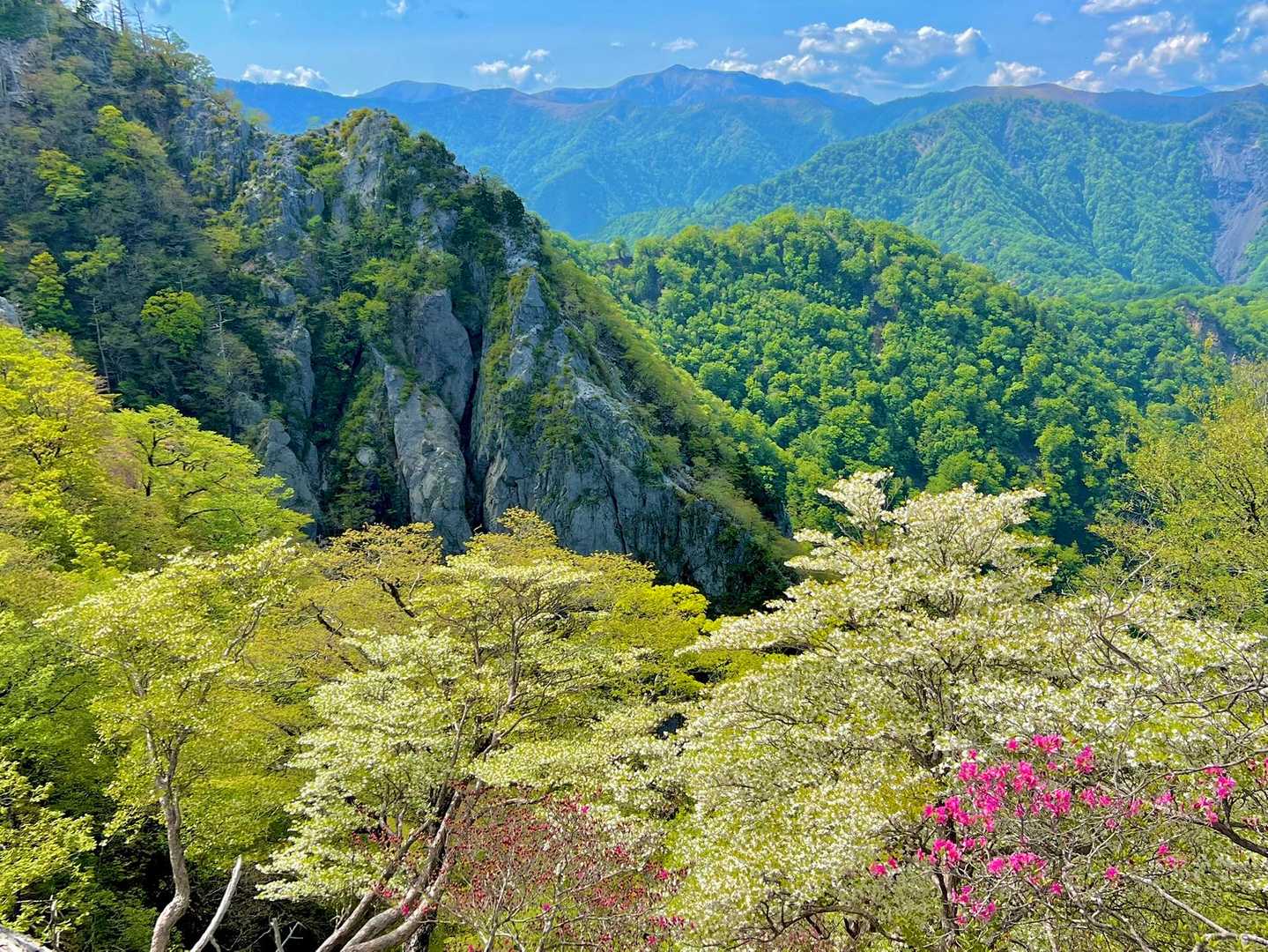 お花🌸越の　捨身ケ嶽