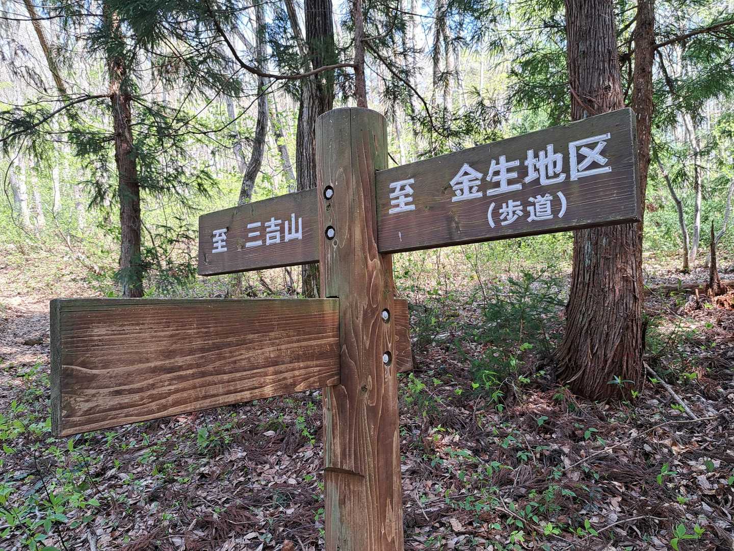 道迷いしながら歩いてます🫢
