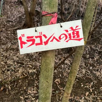 久しぶり