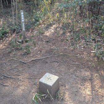 あとはてくてく歩く