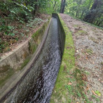 蛤水道が続きます