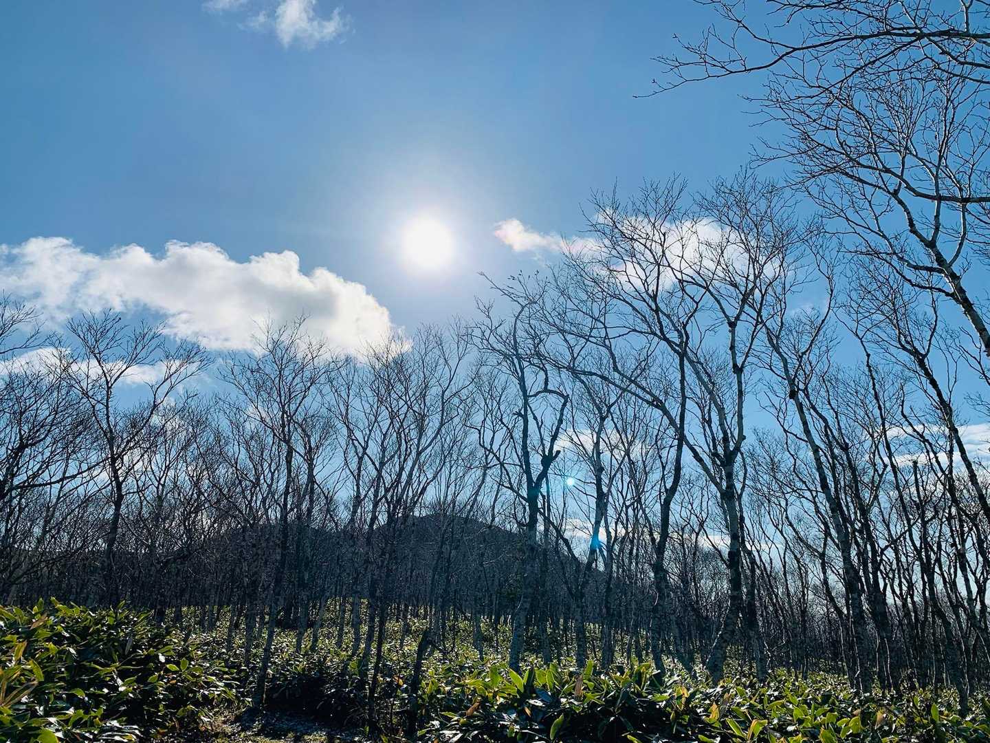 良きお空です♪