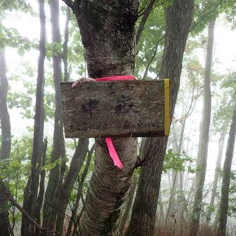 雨の中　中嶽