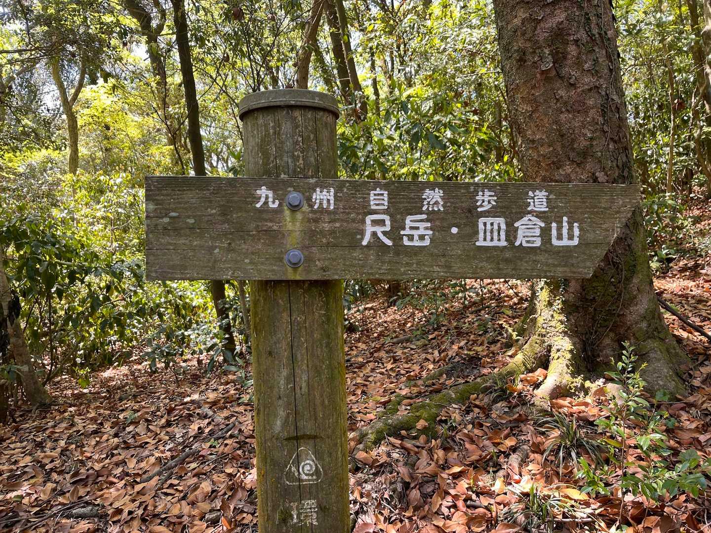 この辺でやっと皿倉山の文字が出て来て嬉しくなりました😭