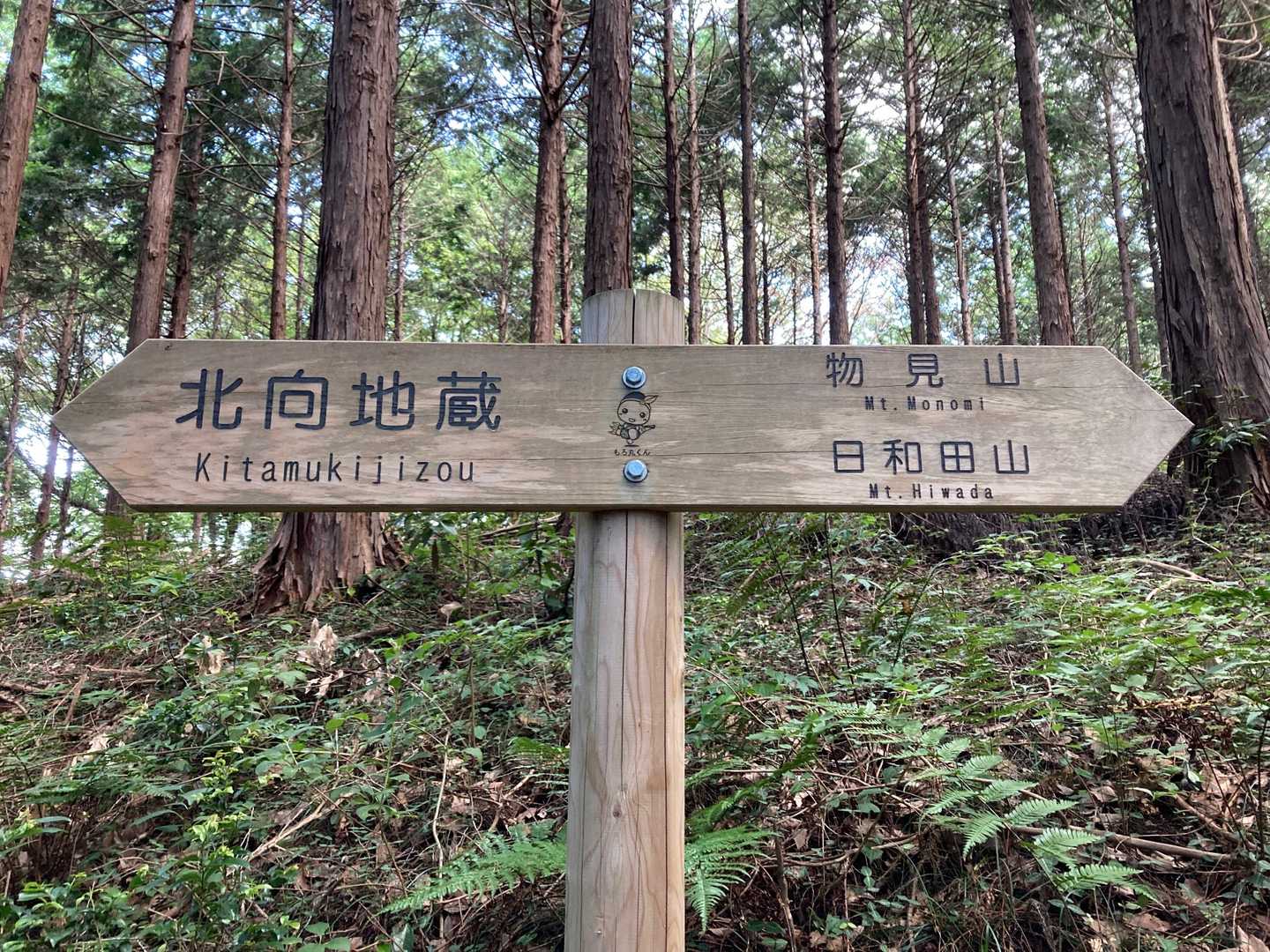 また前後に誰もいない道。もろ丸くんに癒されます