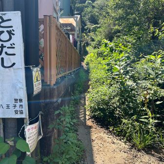 細い道を入ります