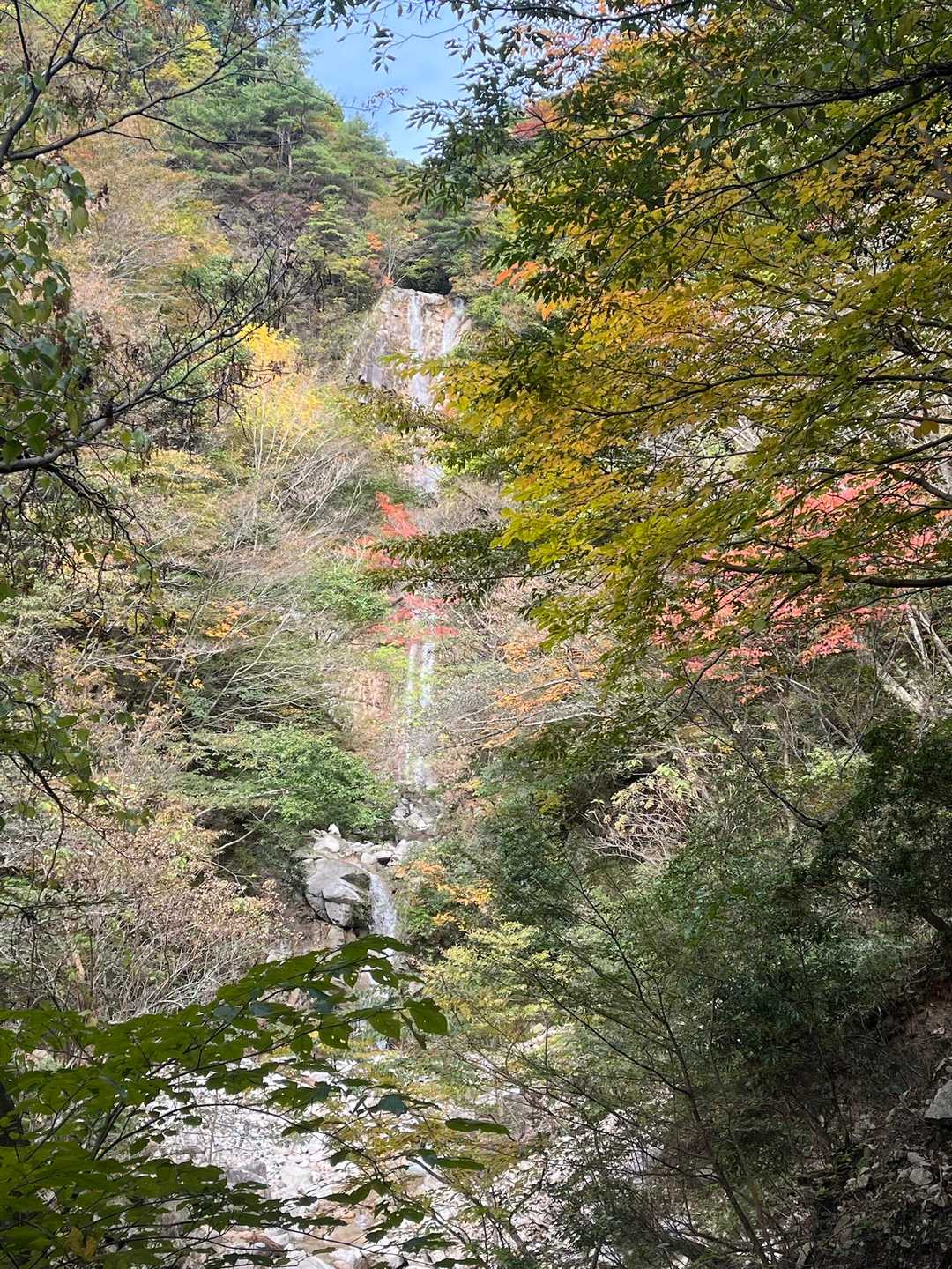 釈迦ヶ岳-猫岳 周回コースの写真