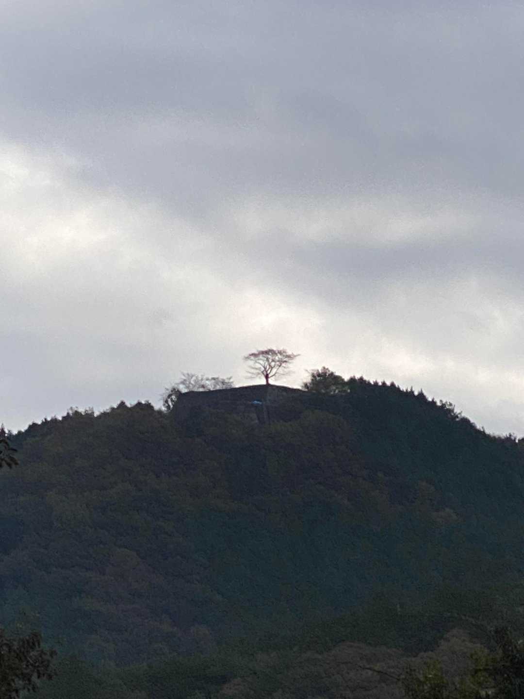 竹田城跡入口-竹田城山 往復コースの写真