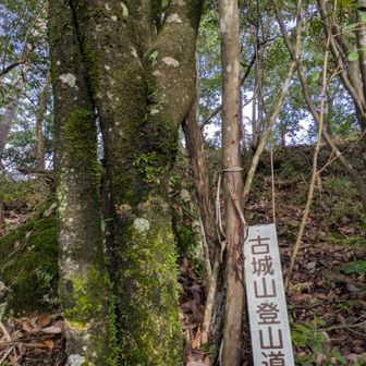 この看板多数