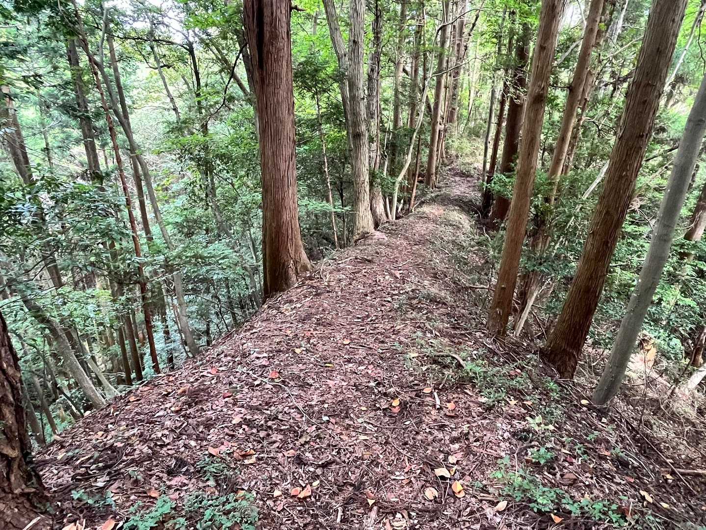 気持ち良い尾根道