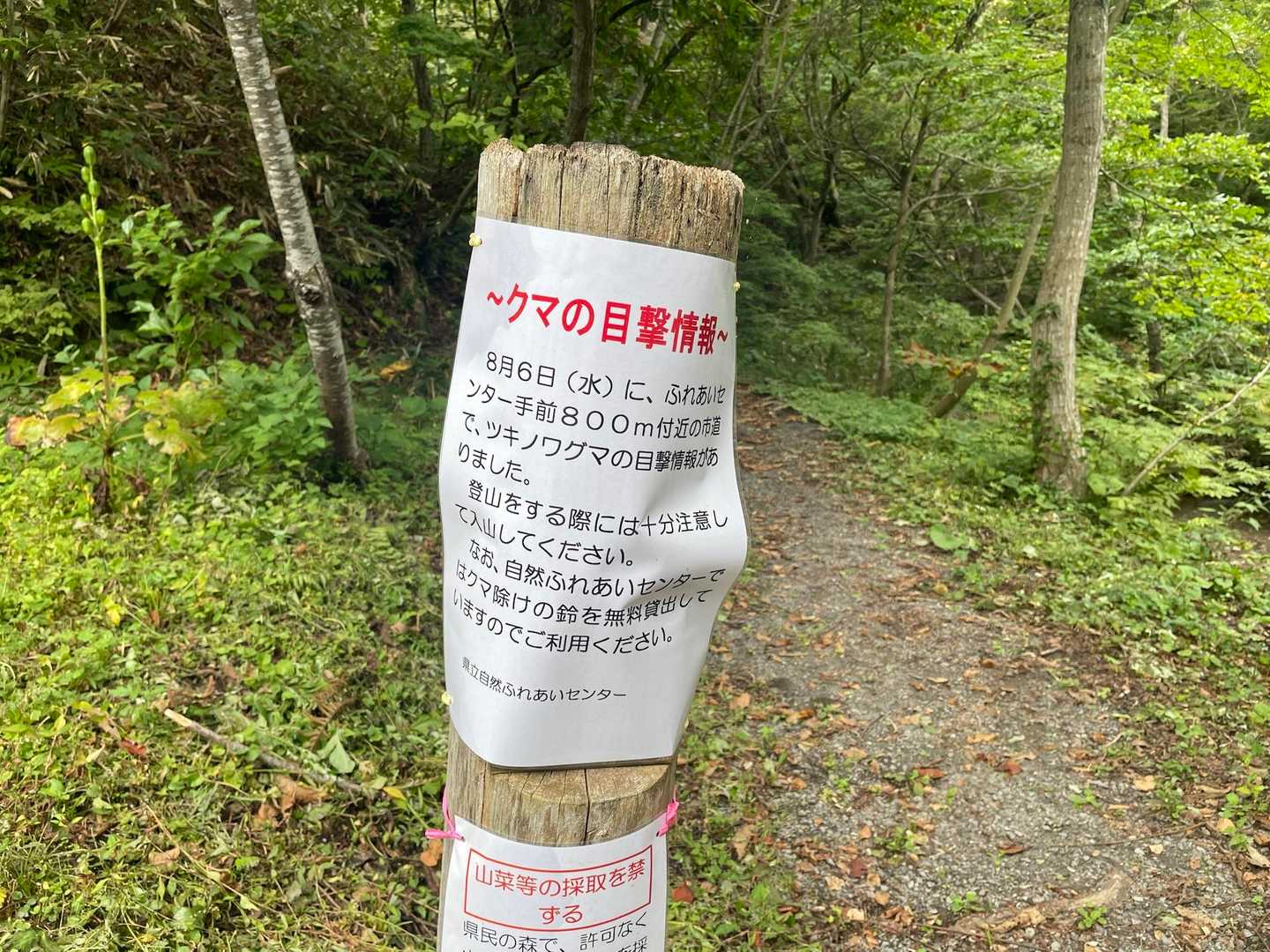 なるほど。。
ちなみに、熊鈴、ホイッスル、熊スプレーを持ち歩いてます。