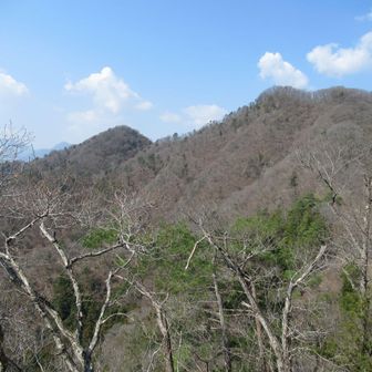 歩いてきた花咲山を振り返る。