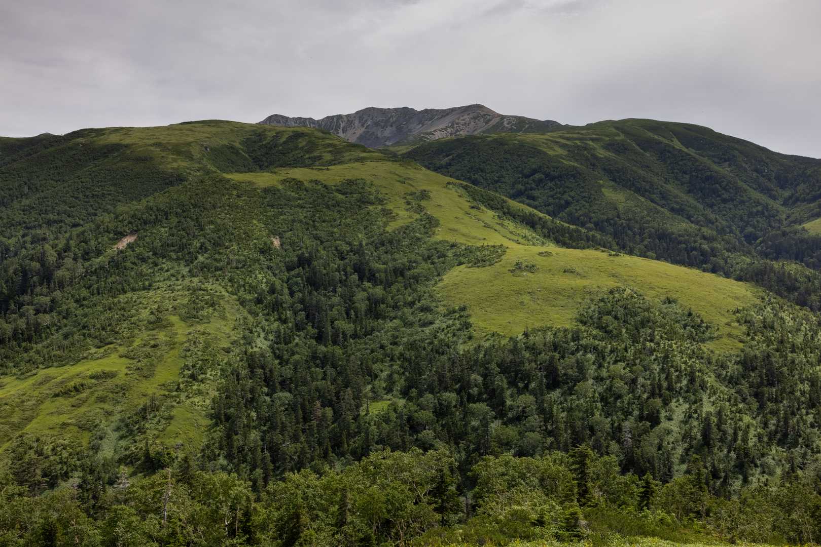 薬師岳登山口-五光岩ベンチ-太郎山-北ノ俣岳-赤木岳-中俣 縦走コースの写真