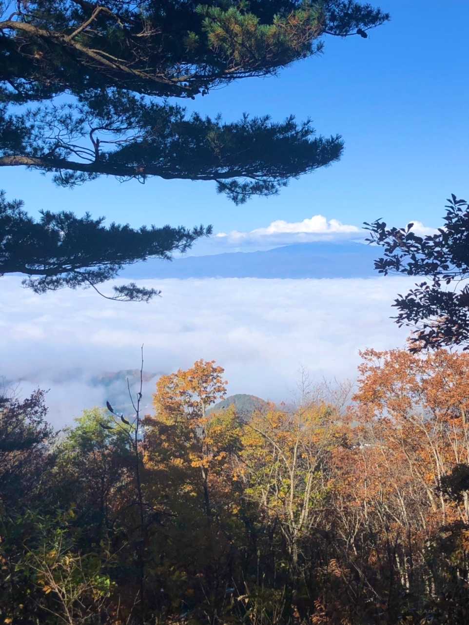 水晶山 周回コースの写真