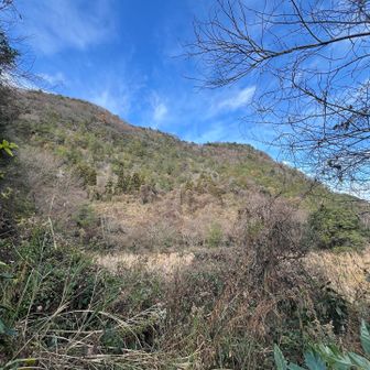 アルプスの稜線❗️