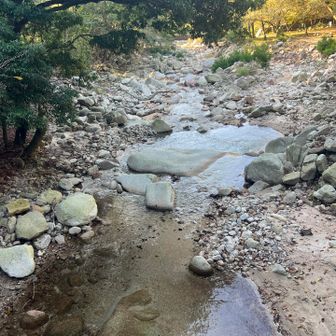 川の水が透き通っている〜