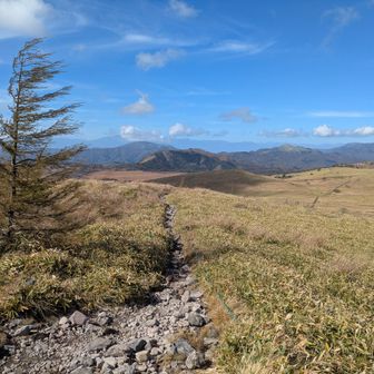 手前は鷲ヶ峰？奥は北アルプス
