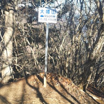 大幡山とうちゃく！1531m