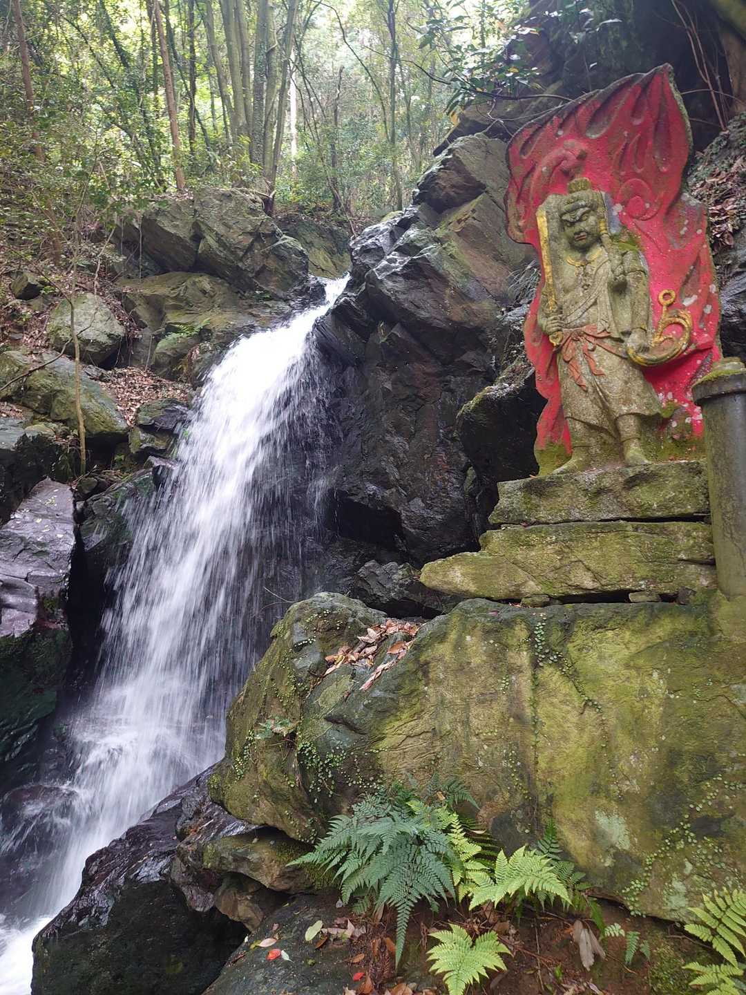 大平山 往復コースの写真